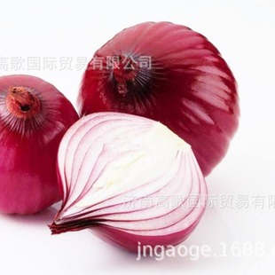 ���r���[  �S���L���ṩ�S���[Yellow onion