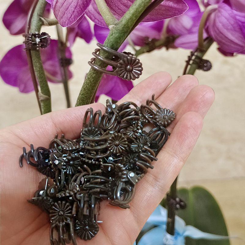 蝴蝶兰花卉夹子植物爬藤固定夹园艺兰花夹五爪固定夹厂家一件代发