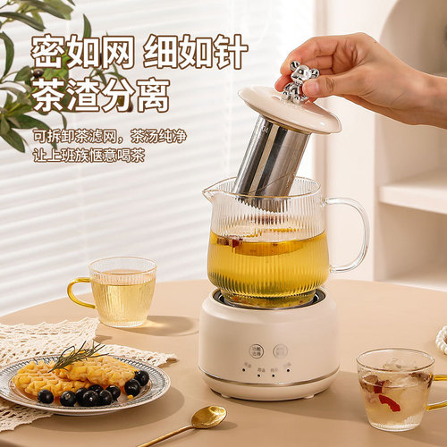 Mini Multifunctional Constant Temperature Herbal Tea Health Cup Home Office Separate Heating Band Filter Set Gift Cup