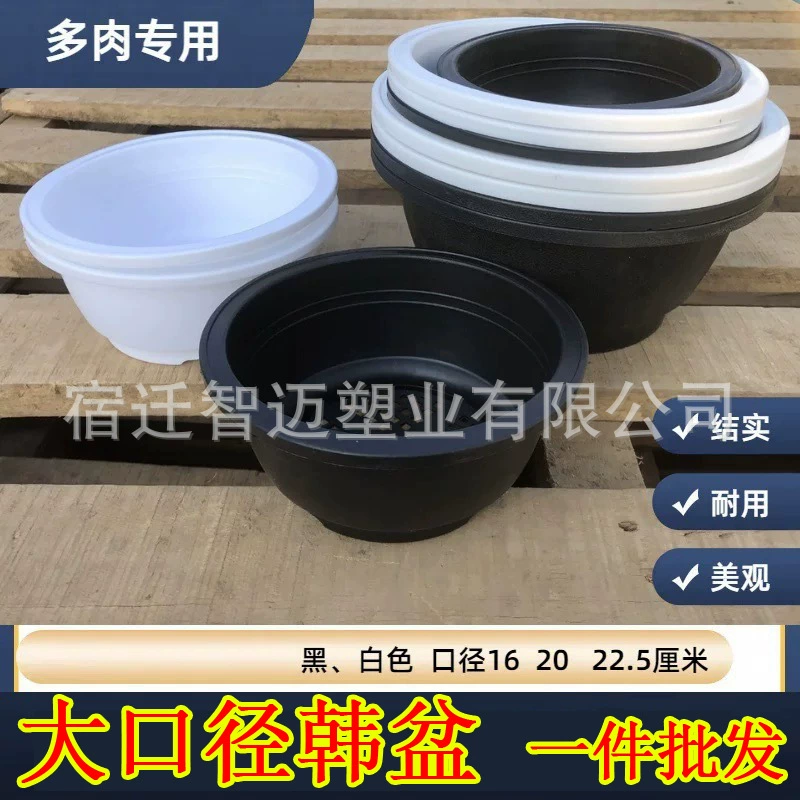 Корейский сочный пластиковый цветочный горшок негабаритный 20 см зеленый горшок