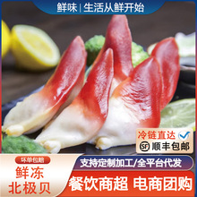 北极贝刺身切片新鲜即食寿司拼盘伴侣商用日料寿司食材海鲜批发