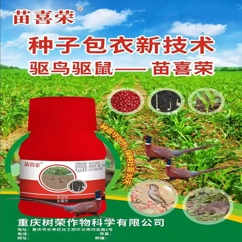 丁戊福美双农药小麦拌种剂种子拌种药水稻拌种剂厂家拌种包衣剂
