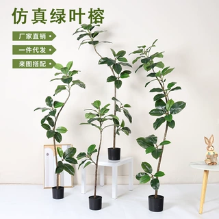 仿真绿植黑金刚橡皮树盆栽高端轻奢客厅摆件大型落地绿叶榕假植物