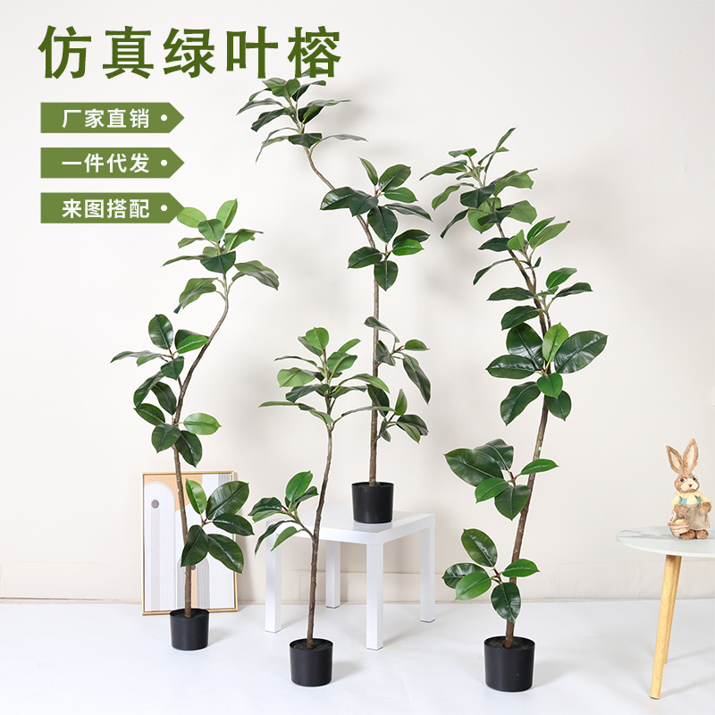 Simulación de plantas verdes, árboles de caucho de diamante negro, plantas en macetas, adornos de sala de estar de lujo ligero de alta gama, plantas falsas de banyan de hoja verde a gran escala