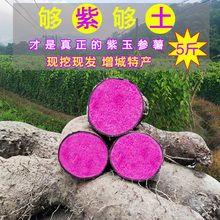 现挖新鲜紫山药紫淮山紫参薯紫玉淮山紫脚板薯增城特产5斤紫大薯