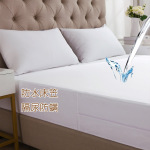 Queen Size Mattress Protector Bedbug Waterproof Zippered