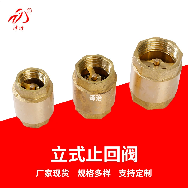 Двойной Внутренний провод латунный вертикальный обратный клапан латунный односторонний пружинный обратный клапан Клапан yuhuan вертикальный медный обратный клапан