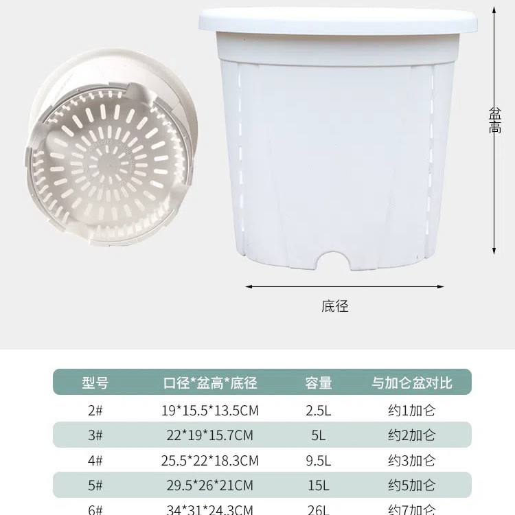 White [with three-dimensional tray]