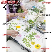植物拓印布袋手绘涂鸦布袋手工纯白植物拓染帆布包拓印工具材料包
