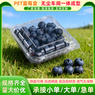�{ݮ��125Bһ����ˮ����PET���׺�����ˮ�����b��125g���b�ͺ�