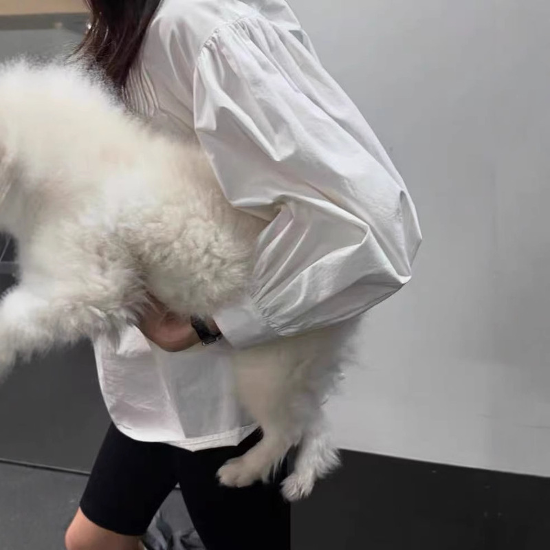 S Skirt from Ng Korea Dongdaemun Designer No**Ing Wri**En with Stand Collar and Pleated Lining/Waist-Cinching Pleated Skirt