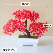 云松翠松仿真植物盆栽草球盆景小树家居装饰花摆件创意迷你小圆球