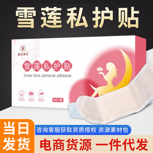Gynecological Snow Lotus Patch Wholesale Hygiene Pads Manufacturer Patch Female Patch Care Patch Antibacterial