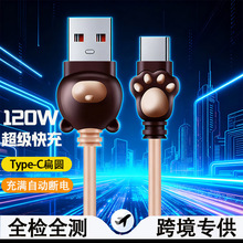 ���z120W������䔵����Type-C�m���A��sҫoppo��늾�6A�羳���l
