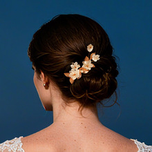 ��ʽ�ٴ�����l�A���Ʒ���Y���ձP�l�l�֬��ɫ���~֦����߅�A