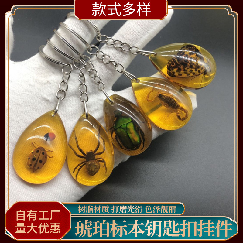 Attractions Souvenir Genuine Insect Specimen Amber Keychain Pendant Stall Pupil Hanging Teaching Jewelry Wholesale