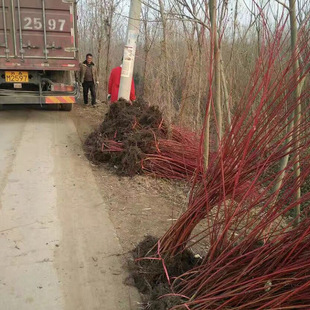 ��ľ�������l��ɫ�G�������� �t��ľ���� �t�R��С�� �t��ľ����