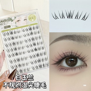 ���ᵭ�ϵ�����m�ٽ�ë���z��ж��ճ�۽�ë����2025���¿�