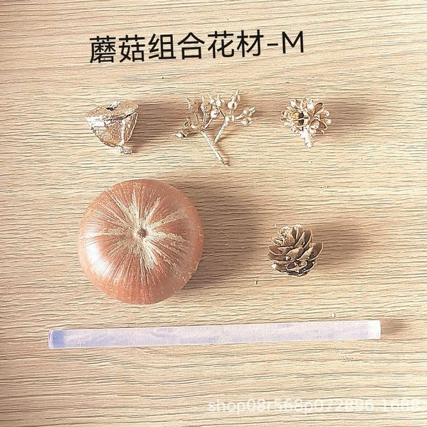 Materials set with clove mushrooms