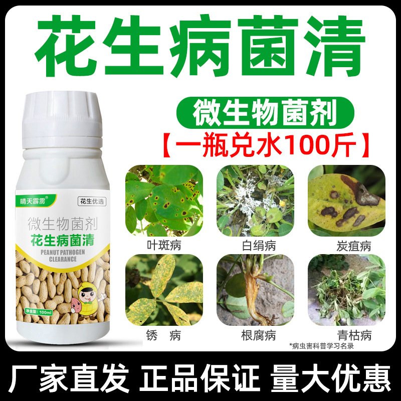 花生病菌清花生黄叶干尖白绢炭锈病叶斑防病杀菌微生物菌剂