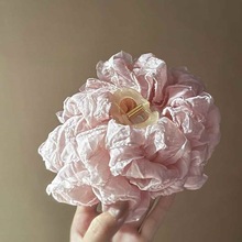 �´������V�°�����Ĵ�̖�Yץ�A�������ɚⳬ���@�l�����~�A