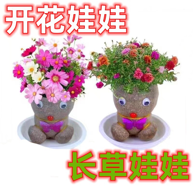 Muñeca de hierba en la cabeza de la hierba florecer niños plantando pequeñas plantas de maceta plantando hierba verde para observar el crecimiento de las plantas niños pequeños image 5