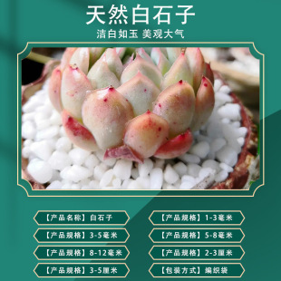 White Pebbles Wholesale White Pebbles Large Pebbles Courtyard Paving Paving Small White Stones Paving Stones Free Shipping