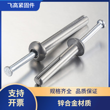 美式击芯膨胀锌合金打入式壁虎锤击式壁虎 Hammer Drive Nails