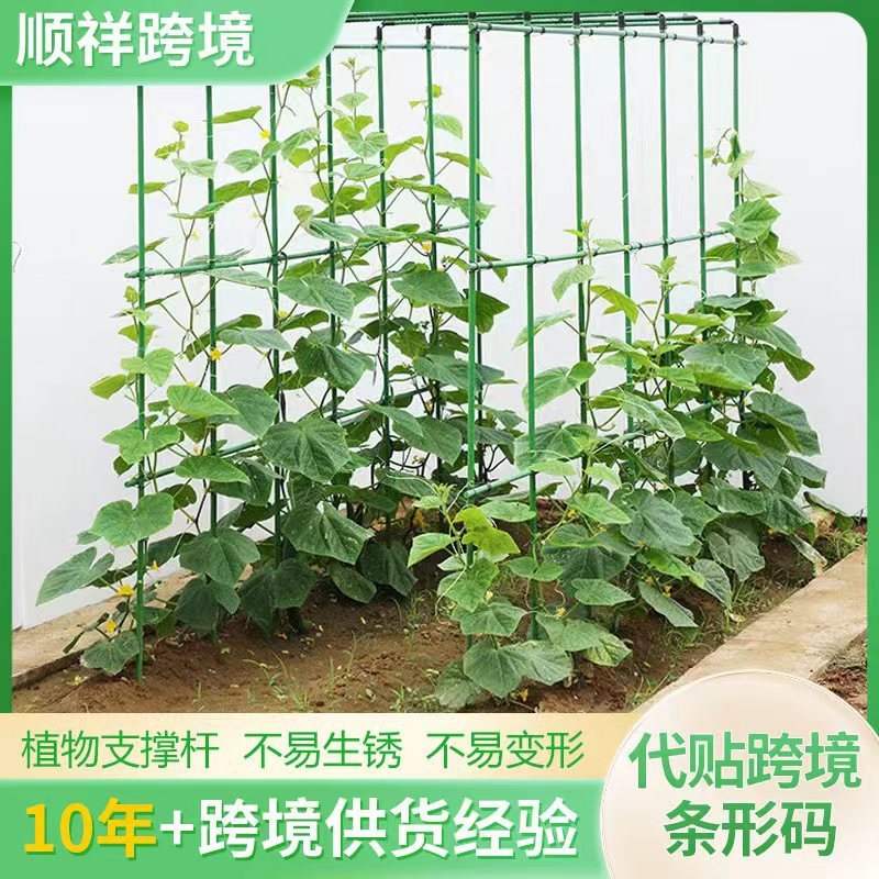 爬藤架包塑钢管花架月季豆角西红柿黄瓜园艺固定杆葡萄植物支撑架|undefined