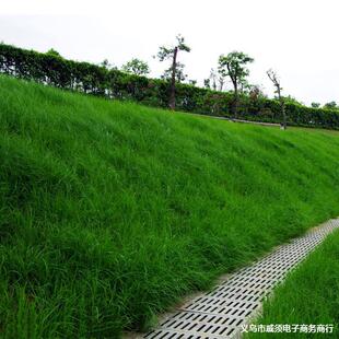 ��ƺ�N�Ӳ����ļ������ͺ����޼��G����Ƥ�����ݷN��ͥԺ�o�¹���