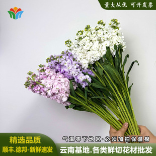 ���r���_�m�r�����l���ֱ�l�r�л���c��ӻ��Ĺ������껨��