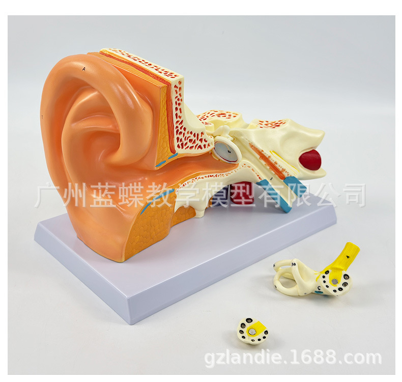 详情 (15)