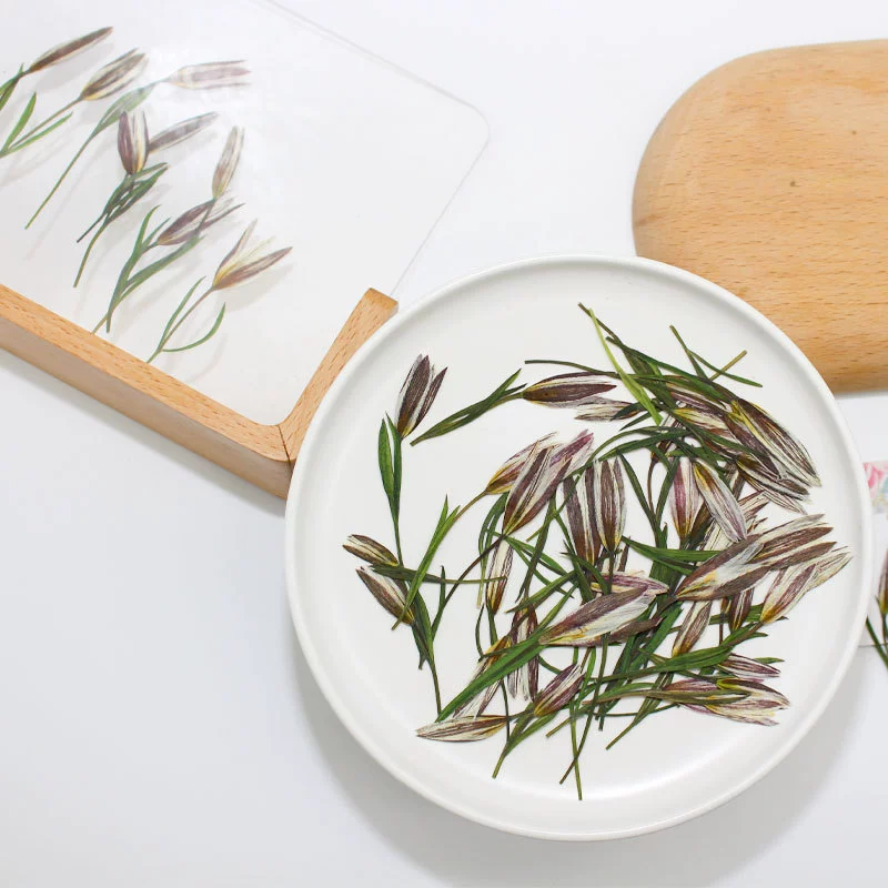 Двухлистная Лилия сушеный цветок с тиснением пламенный лак печать свадебные приглашения открытка украшение цветок фоторамка материал ручной работы оптом