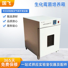 ����ù�����B���˹����ֲ�：��ԇ򞌍���늟�a�����B��