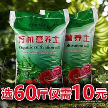 ջļN˵ĠIBõ廨˵G}IBB