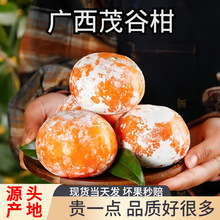 �V�����Qï�ȸ����r����ָ�10����ٽ���ʯ�Ҹ̱�֭ˮ���K�K����