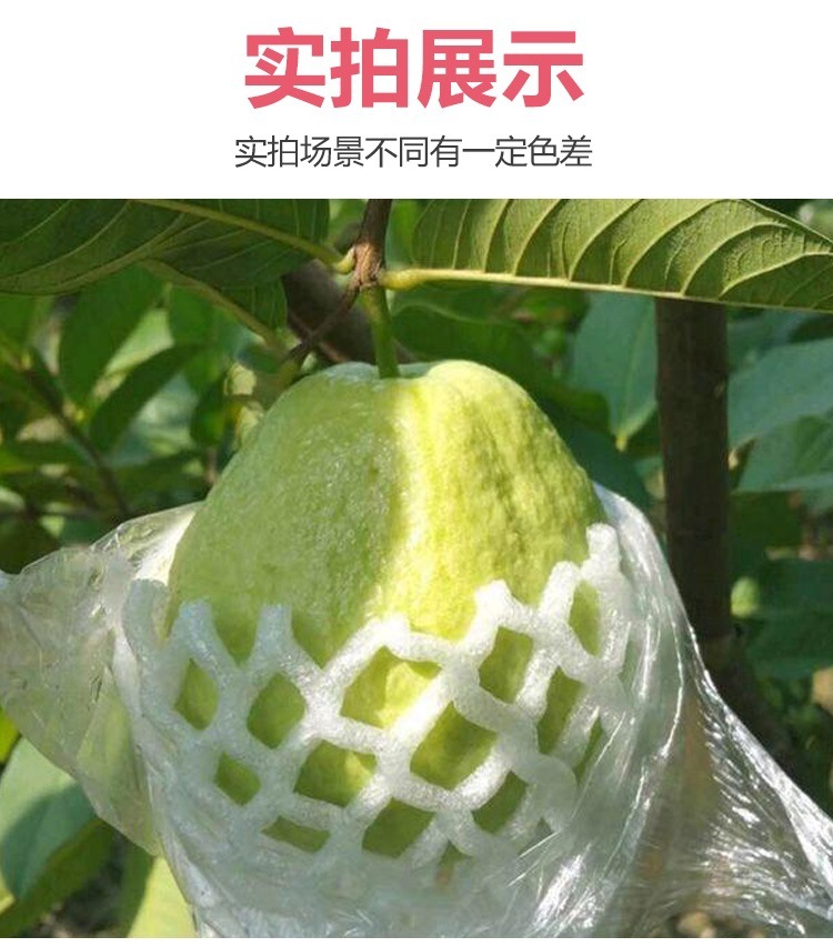 da490b33-d273-4a94-8f32-1e81f3d320be.jpe