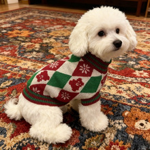 ����ë��2025�羳������b���·������ﶬ�·�؈��ë��