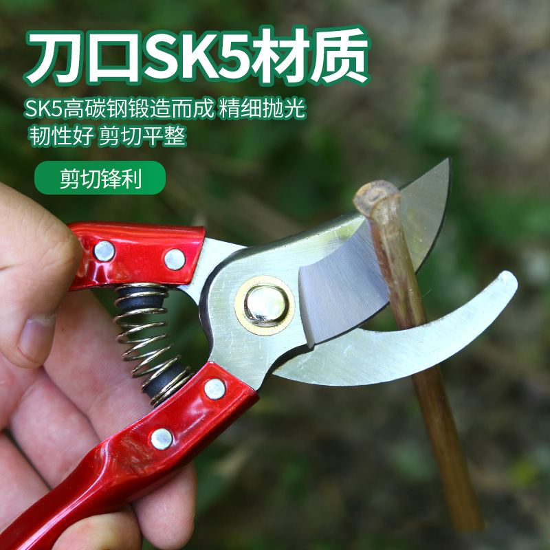 Tijeras de podar Winda tijeras de podar de frutas rama poda jardinería tijeras de poda de frutas jardinería de jardín tijeras de árboles frutales