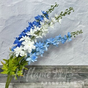 1���w��� ��c�Y��·�����Ų����L���L����ӭ�e�^�쾰�b��滨