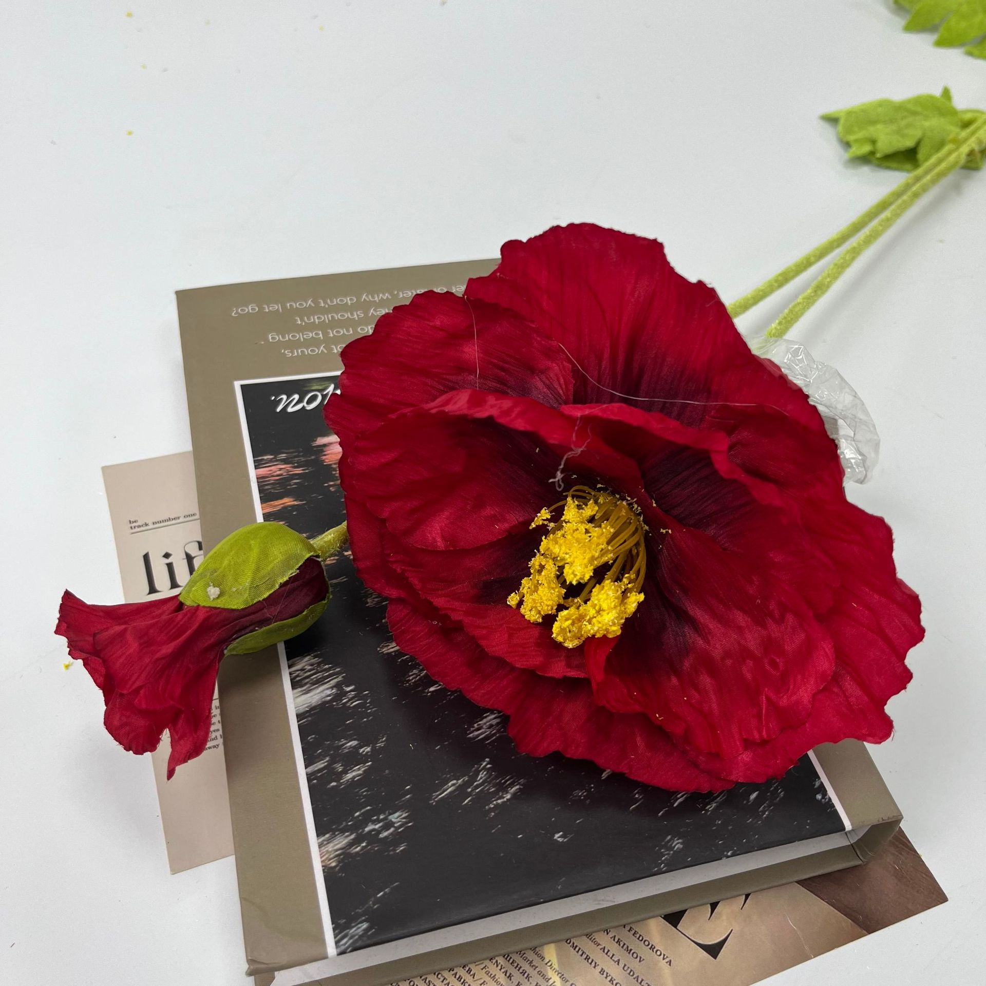 대형 포피 레드