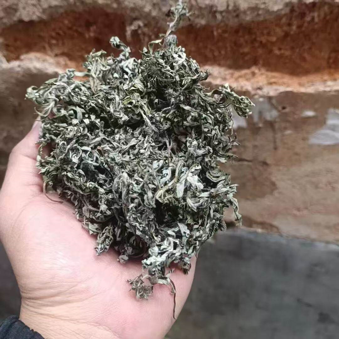 Wild Dried Mugwort Leaves Ai Ye Foot Soak Pack Traditional Chinese Herbal Bath in use