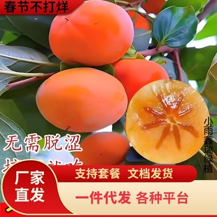 �������������Լ޽Ӵ���o���ϱ����Nֲ�ش���Y�����Ә����