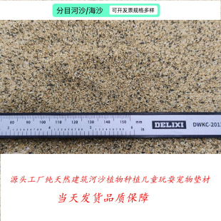 ��ɳ������ɳ��ɳ��ˮ̎�탺ͯɳ����Ȼ��Ŀ�o�mˮϴ���B�A����ɰ