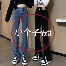 黑色开叉牛仔裤女春秋2024年新款小个子高腰紧身显瘦拖地微喇叭裤