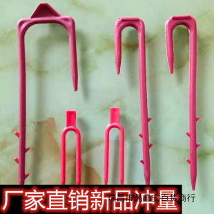 ��ݮ������ϲ������牺���������ι�������ֲ��̶�����������