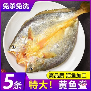 �S�~�����r������S�~�S���~��ȥ���r����С�S�~���r�~��~����