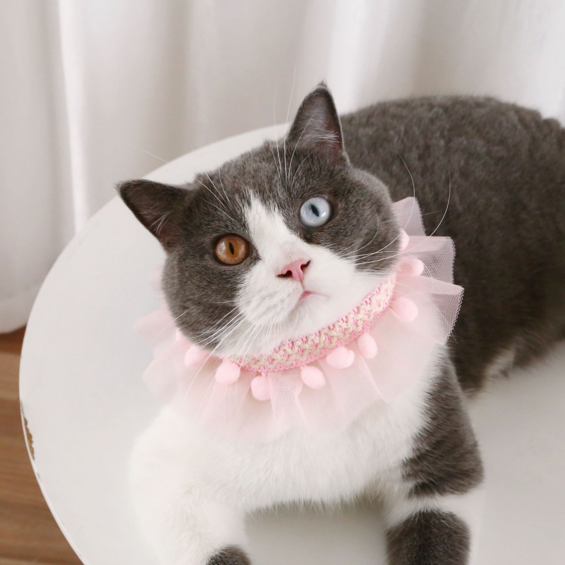 Perros de encaje para mascotas collar ajustable para gatos accesorios de fotos collar de viento asiático chino encantador viento