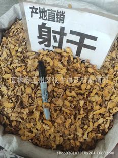 ��ș����� ���Ƭ �e������ ���� �S�h �ݽ� ���� ɢ�b500��