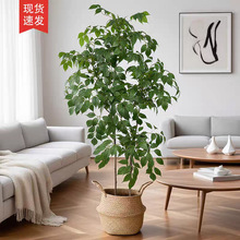 �����Ҹ�����ؾGֲ�������҃ȿ͏d���ҙ��������Lˮ�٘��쾰�b�